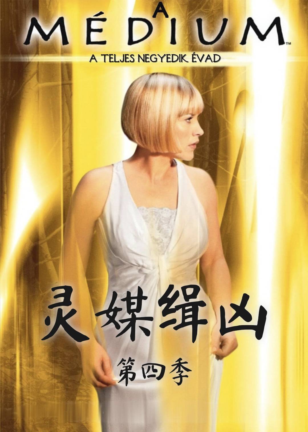 灵媒缉凶 4