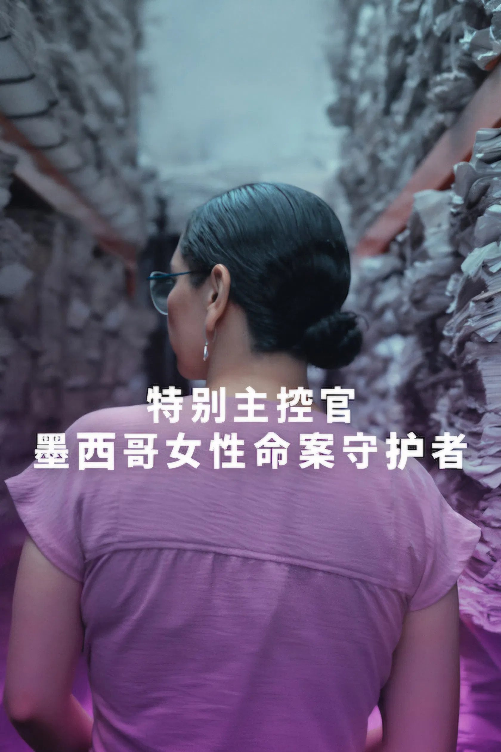特别主控官墨西哥女性命案守护者