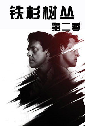 铁杉树丛 2